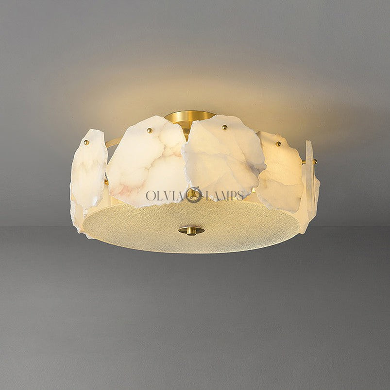 Artze Ceiling Light