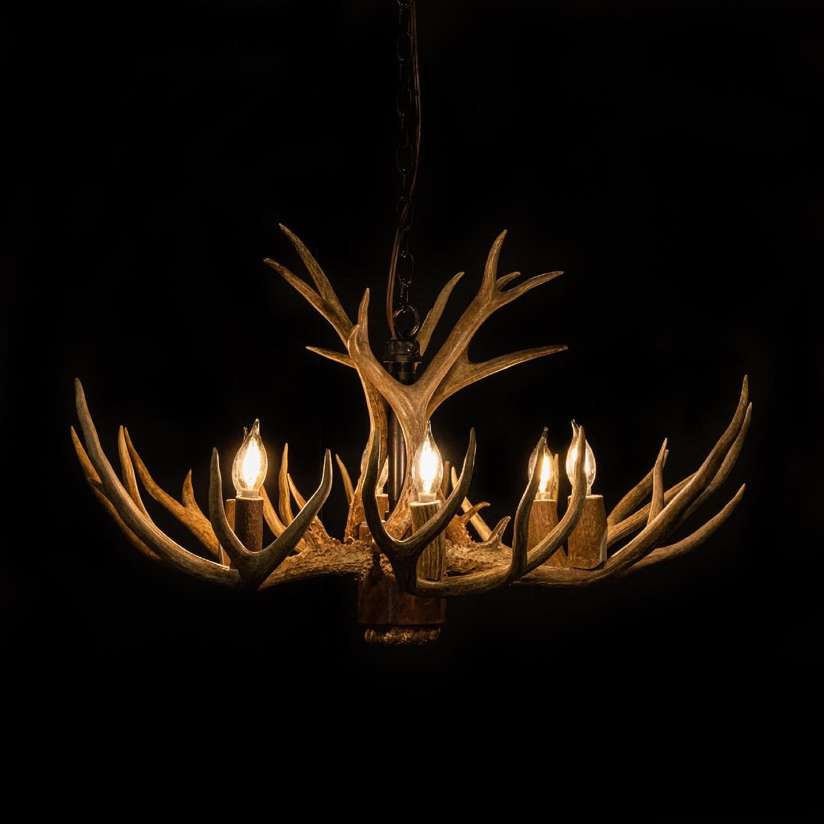 8 Light Reagan Tall Mule Deer Antlers Chandelier 24"H