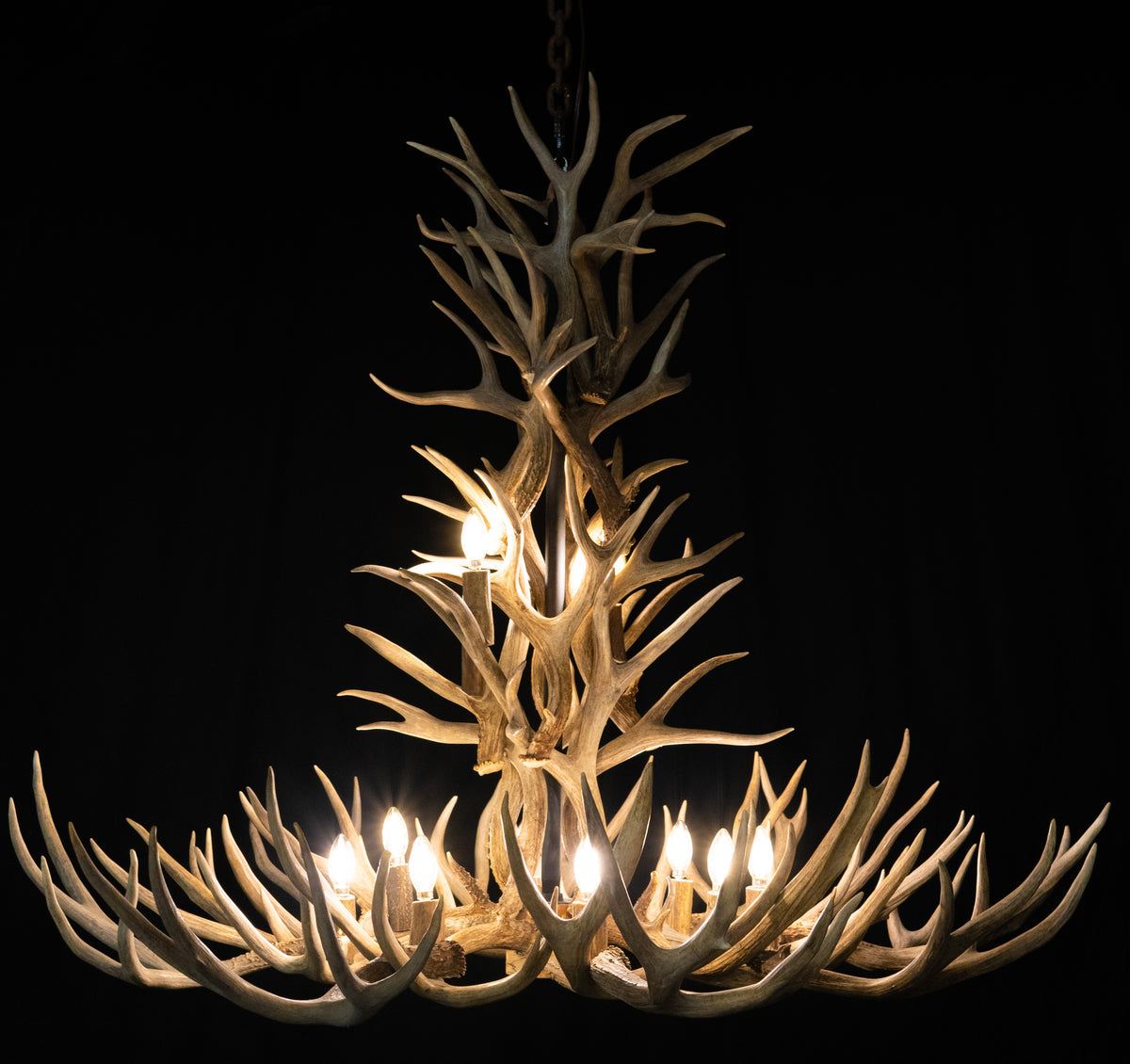 12 Light Reagan Tall Mule Deer Antlers Chandelier 42"