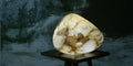 Galet Uno Alabaster Table Lamp