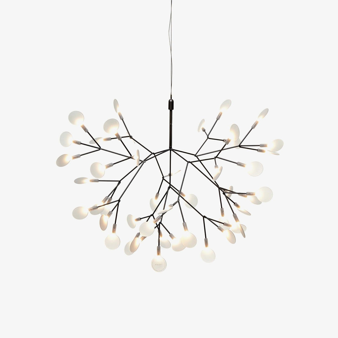 Black Heracleum Chandelier - Vakkerlight