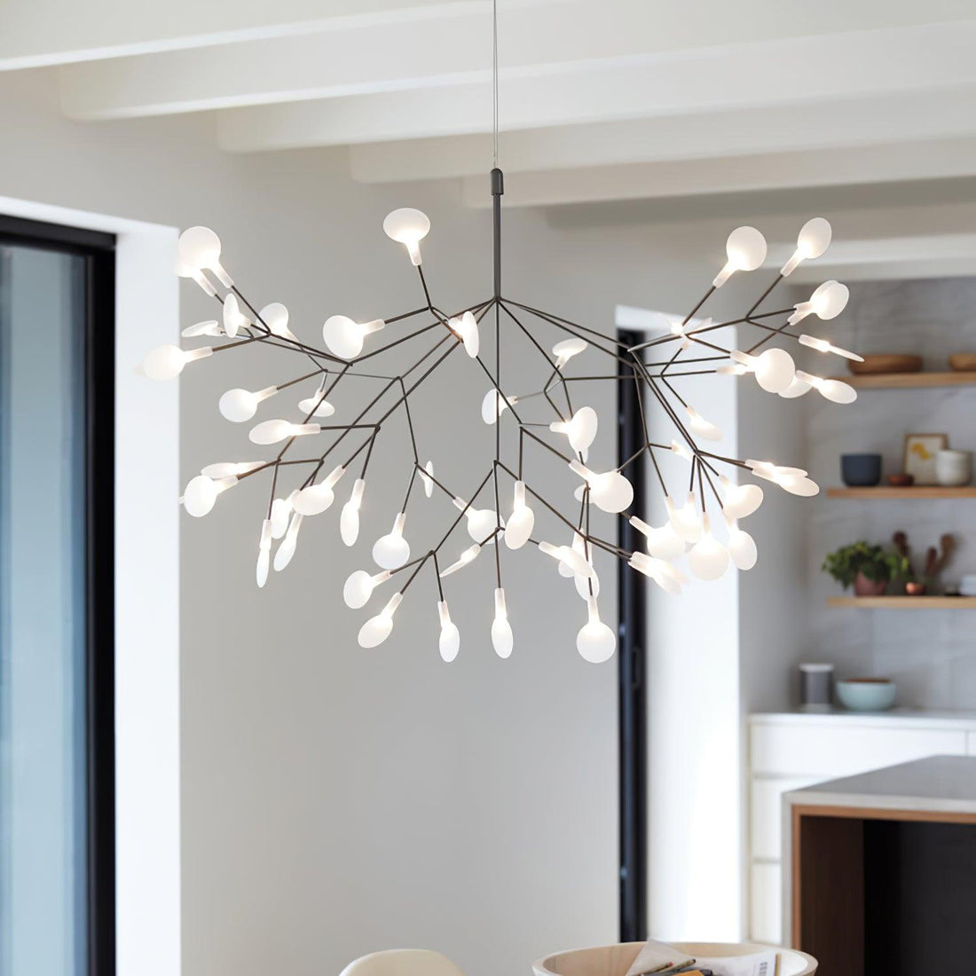 Black Heracleum Chandelier - Vakkerlight